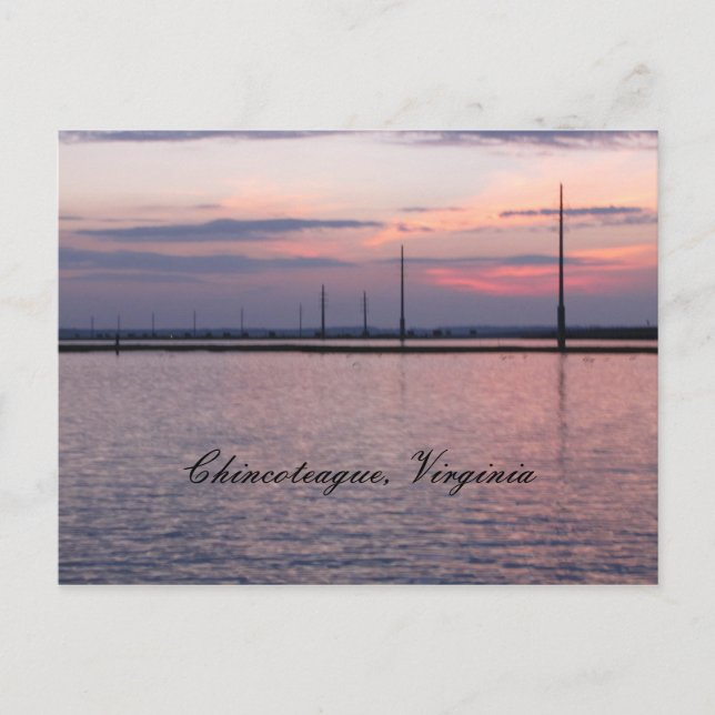 Chincoteague, Virginia Vykort (Framsida)