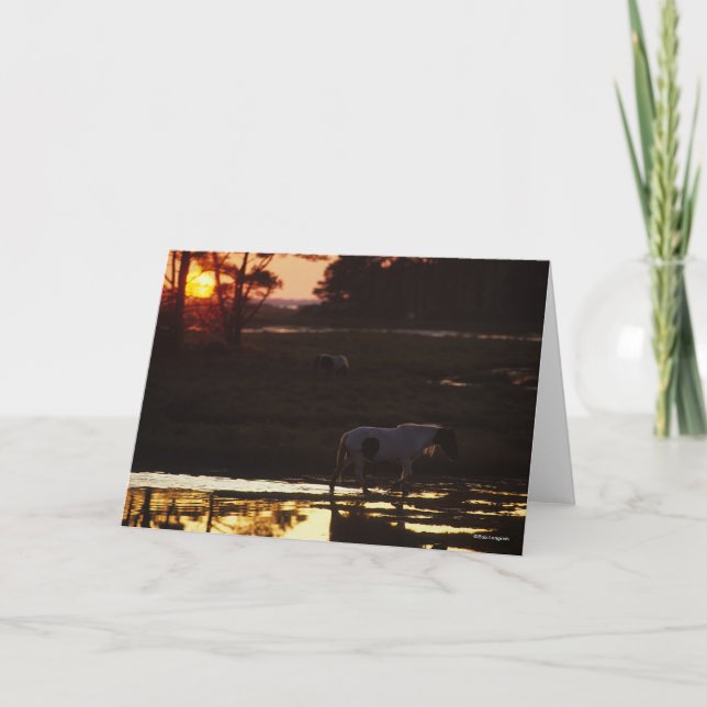 Chincoteague Walking i Vatten vid Sunset Kort (Framsida)