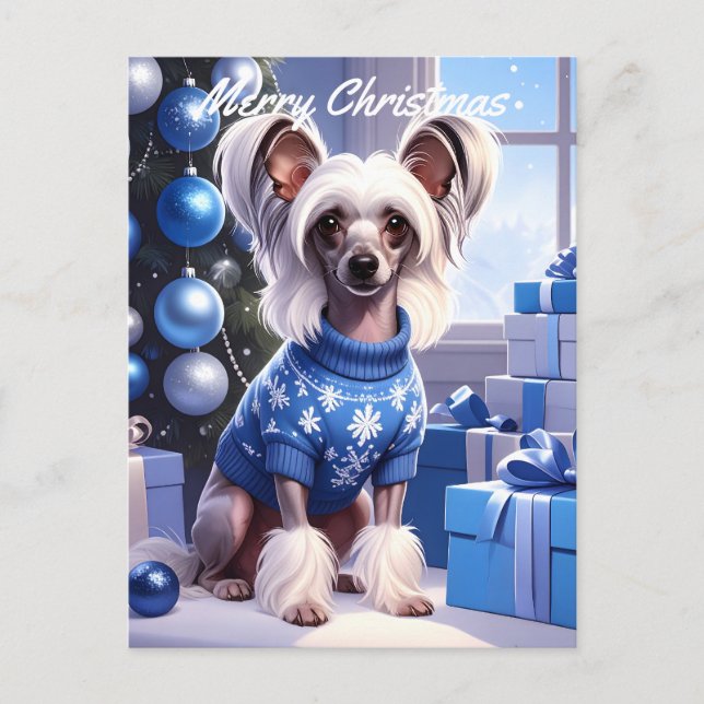 Chinese Crested Christmas Vykort (Framsida)