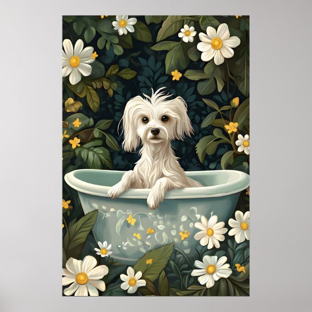 Chinese Crested Dog In Bathtub Poster, Funny Dog Poster (Framsidan)