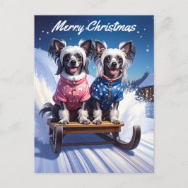 Chinese Crested Sled Ride Christmas Vykort