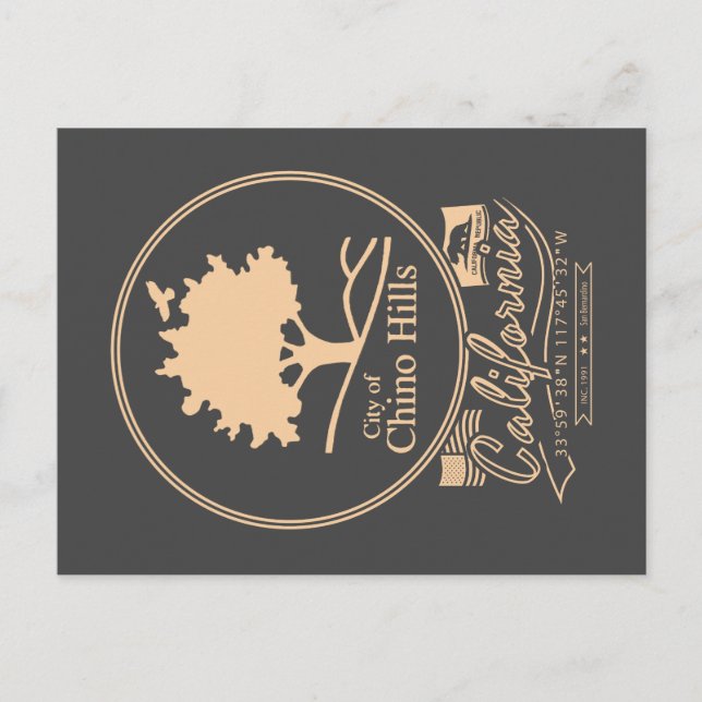 CHINO BACKE SAN BERNARDINO CALIFORNIA VYKORT (Framsida)