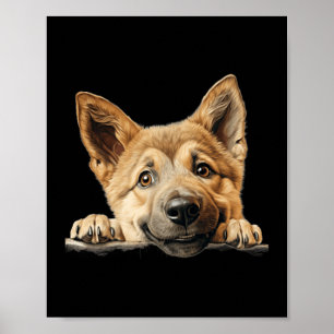 Chinook Hund Mamma Pappa kikande Valp Poster