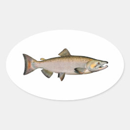 Chinook - Kung Salmon (lekområde) Ovalt Klistermärke