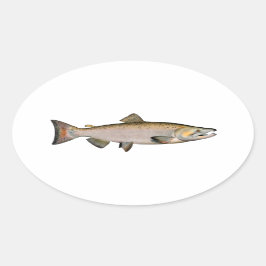 Chinook - Kung Salmon (lekområde) Ovalt Klistermärke