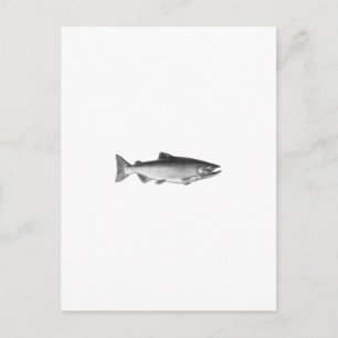 Chinook - Kung Salmon Logotyp (svartvitt) Vykort