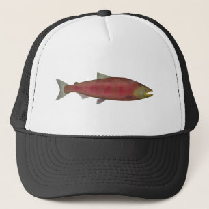 Chinook Salmon - Spawn Phase Keps