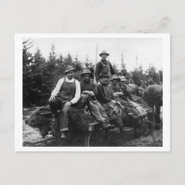 Chinook, WALogging CrewChinook, WA Vykort (Framsida)