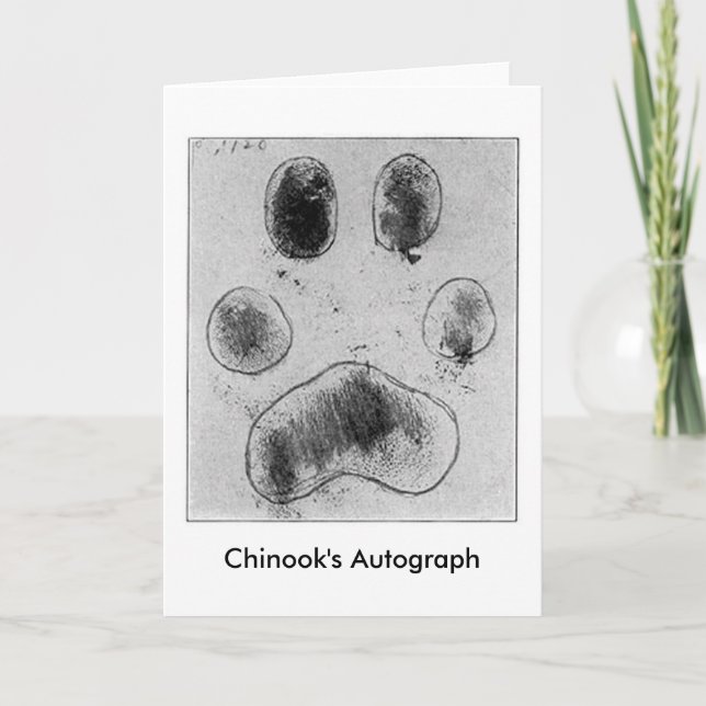Chinooks autograf helgkort (Framsida)