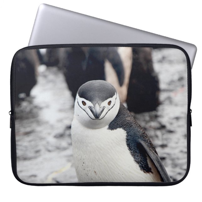 CHINSTRAP PENGUIN LAPTOP FODRAL (Framsidan)