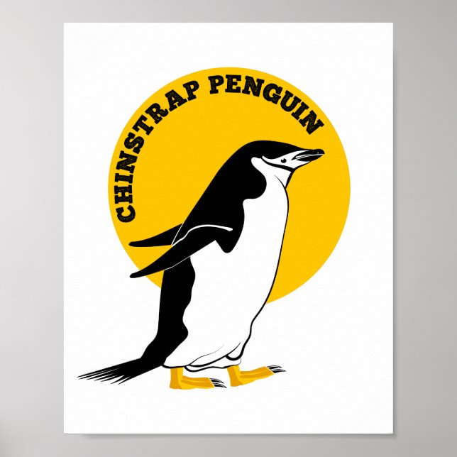 Chinstrap penguin poster (Framsidan)