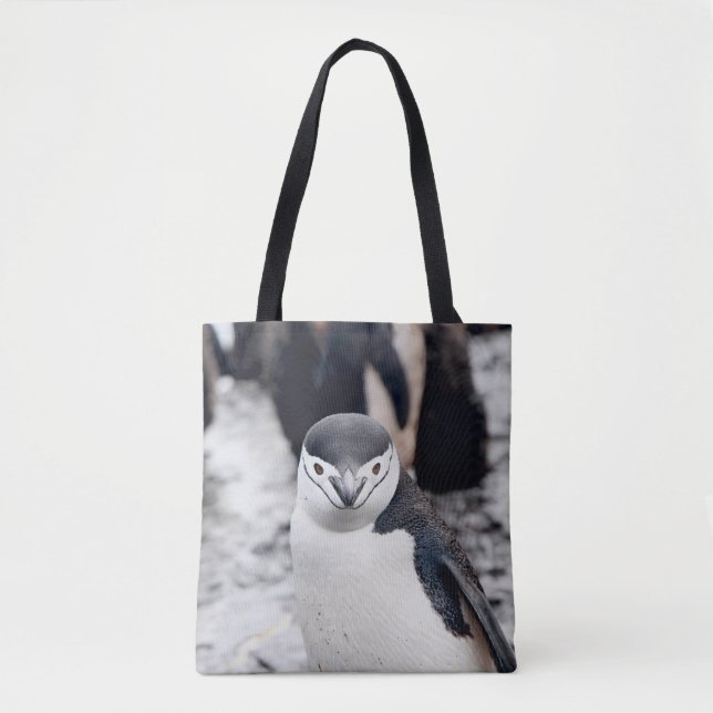 CHINSTRAP PENGUIN TYGKASSE (Framsida)
