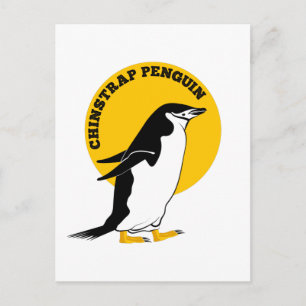 Chinstrap penguin vykort