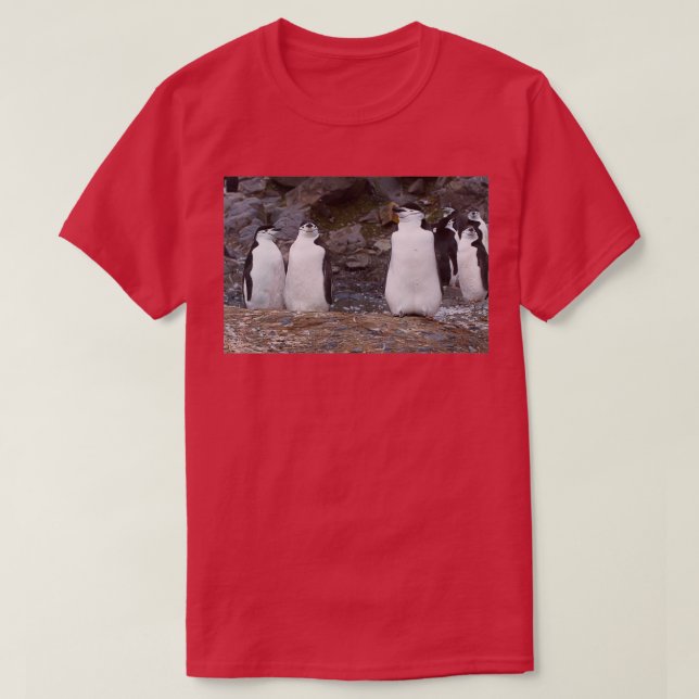 Chinstrap Penguins Aerobics Workout T Shirt (Design framsida)