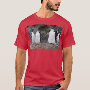 Chinstrap Penguins Aerobics Workout T Shirt