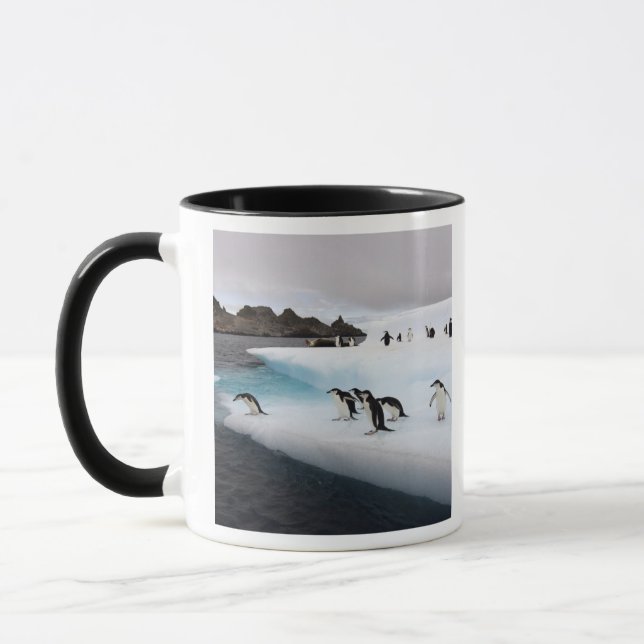 Chinstrap Penguins Mugg (Vänster)