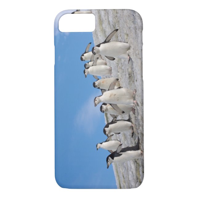 Chinstrap Penguins | Pygoscelis Antarctica Case-Mate iPhone Skal (Baksida)