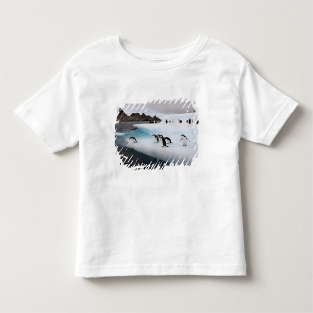Chinstrap Penguins T-shirt (Framsida)