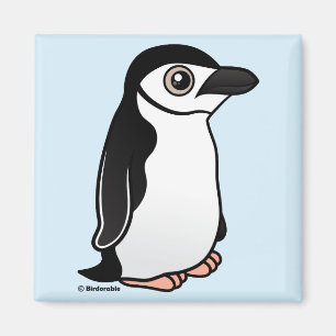 Chinstrap pingvin magnet