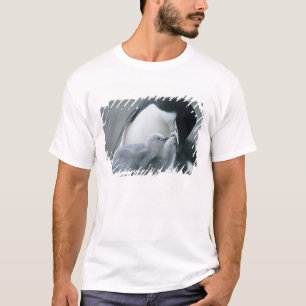 Chinstrap pingvin-, PygoscelisAntarktis), Tee Shirt