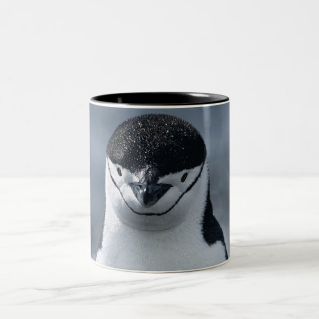 Chinstrap pingvin Två-Tonad mugg (Center)