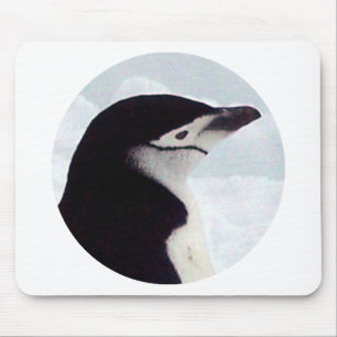 Chinstrap pingvinporträtt musmatta