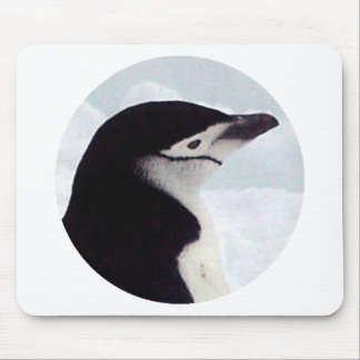 Chinstrap pingvinporträtt musmatta