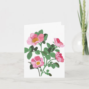 Chintzy Mörk Rosa Vild Ro Blank Kort