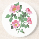 Chintzy Mörk Rosa Vild Ro Underlägg<br><div class="desc">Den här fantastiska underlägg har en ny chintzistisk design som bygger på min verkliga livsskiss över blommor från Vild Rosa ros bland löv från grönt, mot en vit bakgrund. Ett underbart tillbehör eller gåva. Idealisk för relationerna mellan dam är systrar, kusin farmor och en perfekt liten gåva till Mor-dagen. Perfekt...</div>