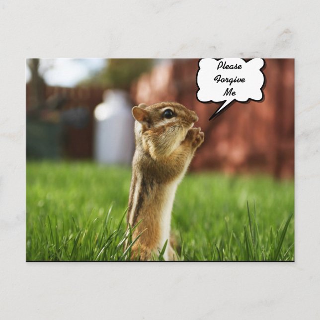 Chipmun Praying Plese Förlåt mig Vykort (Framsida)