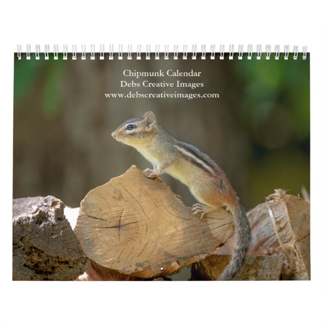 Chipmunk 2026 kalender (Omslag)