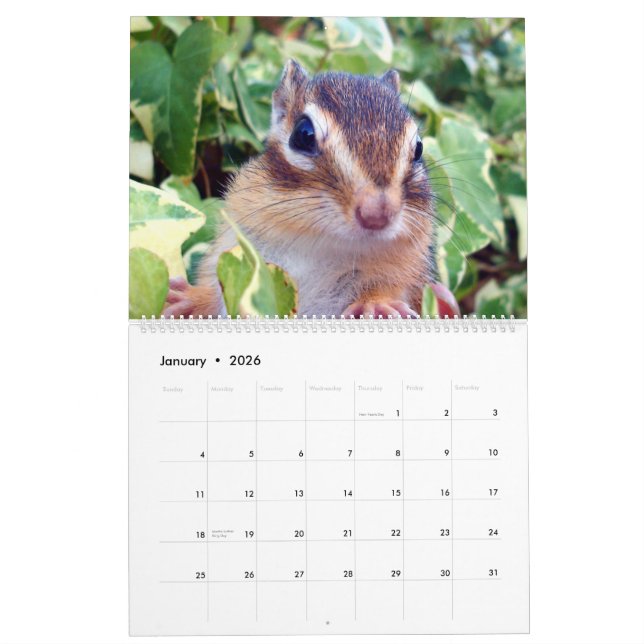 chipmunk  (All country) Kalender (Jan 2026)