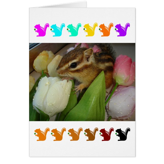 Chipmunk and flower (pohto)　type-5 hälsningskort (Framsidan)