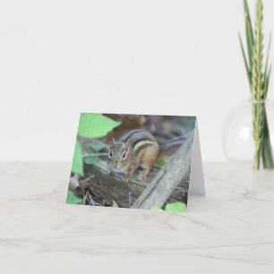 Chipmunk-anteckningskort Kort