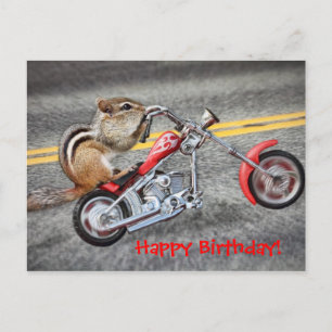 Chipmunk Biker Riding a Motorcle Vykort