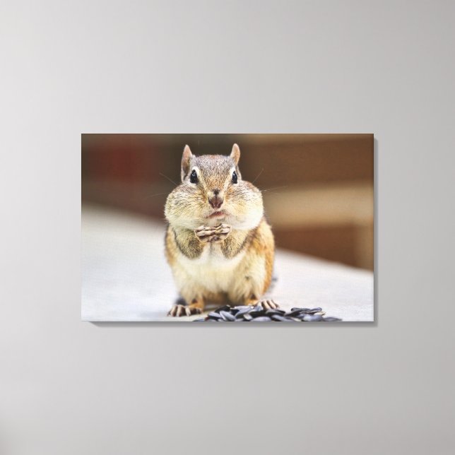 Chipmunk Bild (Framsida)