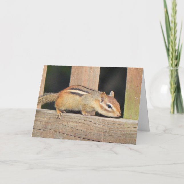 Chipmunk Birthday Card Kort (Framsida)