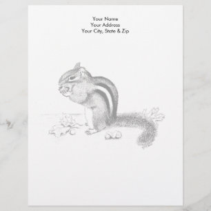 Chipmunk Brevhuvud