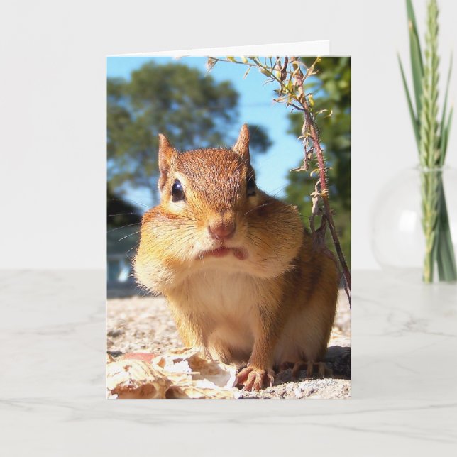 Chipmunk Card Kort (Framsida)