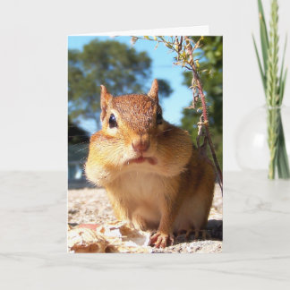 Chipmunk Card Kort