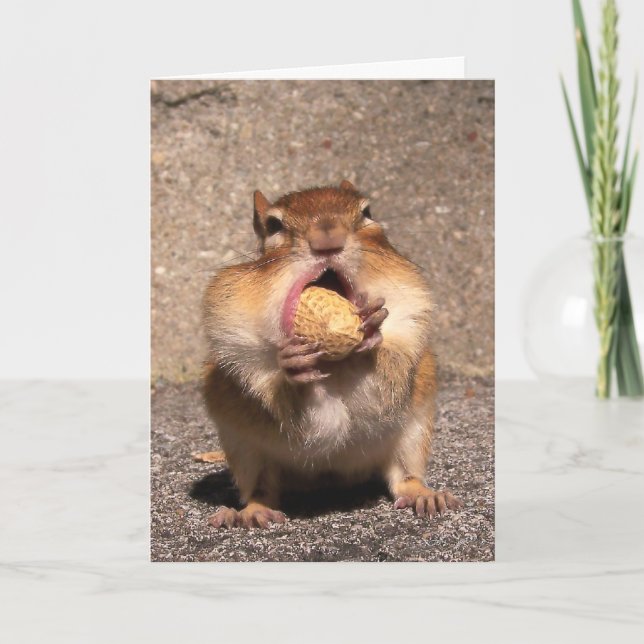 Chipmunk Card Kort (Framsida)