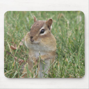 Chipmunk Cheeks Mouse Pad Musmatta