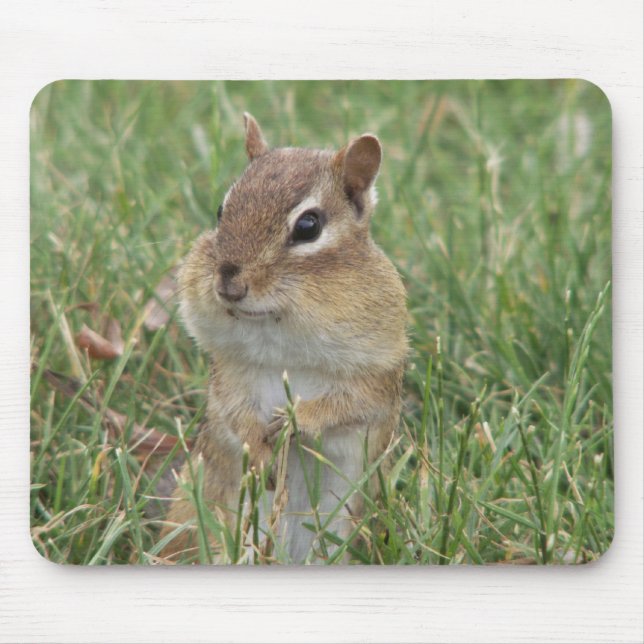 Chipmunk Cheeks Mouse Pad Musmatta (Framsidan)