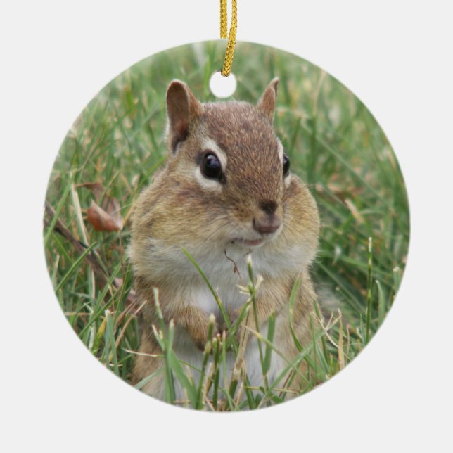 Chipmunk Cheeks Ornament (Framsidan)