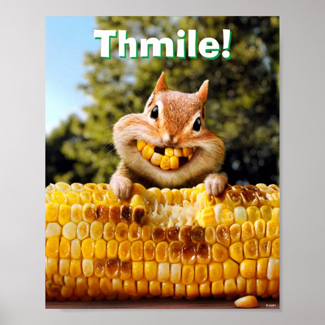 Chipmunk Eating Maj Poster (Framsidan)