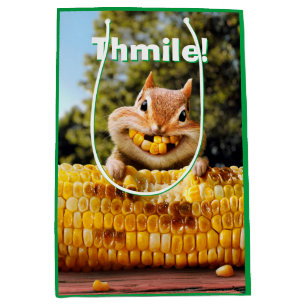 Chipmunk EEG-Maj