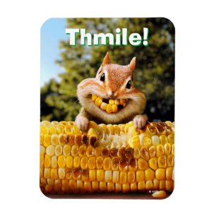 Chipmunk EEG-Maj Magnet