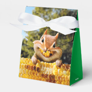 Chipmunk EEG-Maj Presentaskar