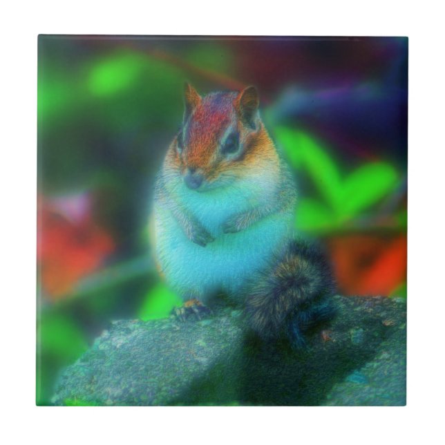 Chipmunk Fantasy Animal Kakelplatta (Framsidan)