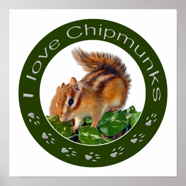 Chipmunk-foto Poster (Framsidan)